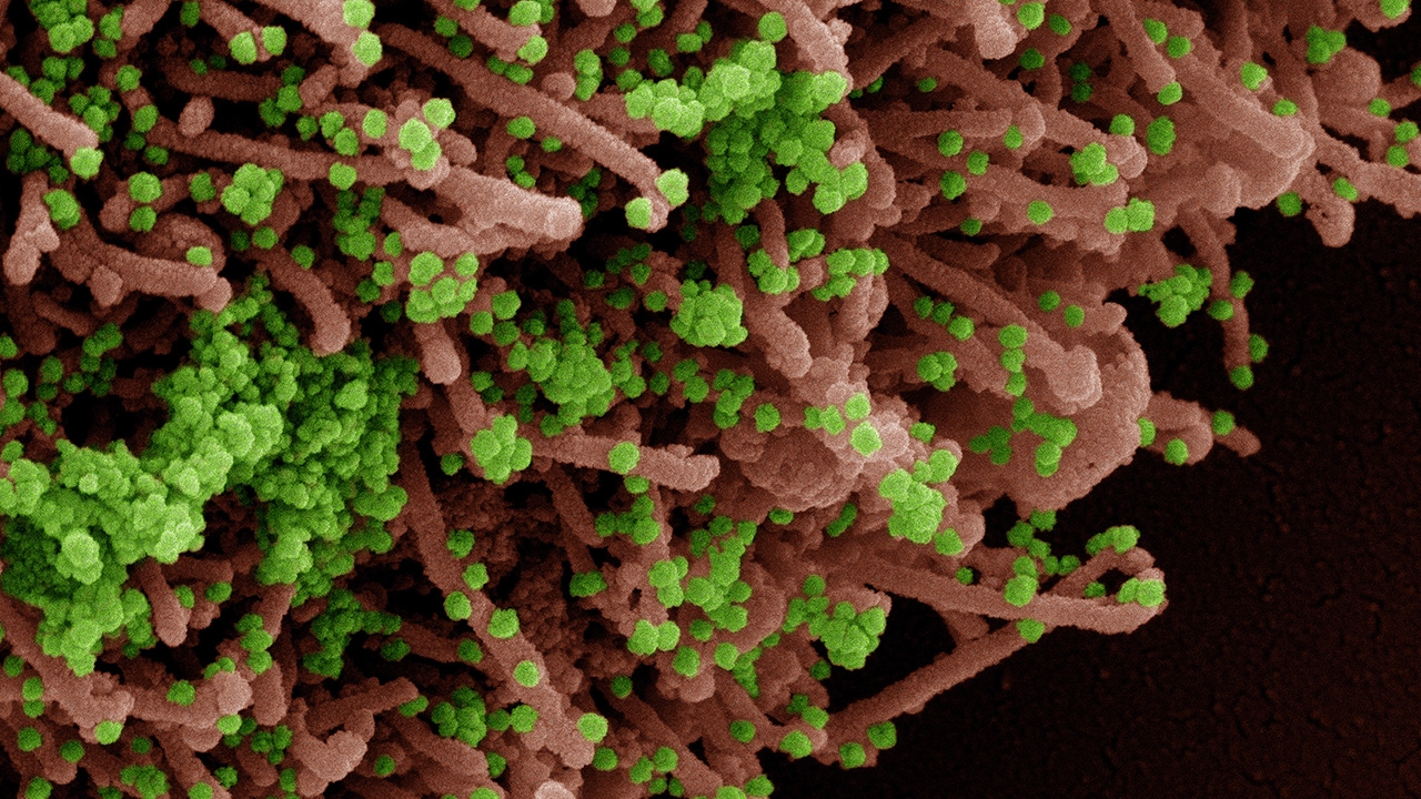 โควิดโอมิครอน BA.5 ทำไมเขาว่าร้ายที่สุด?