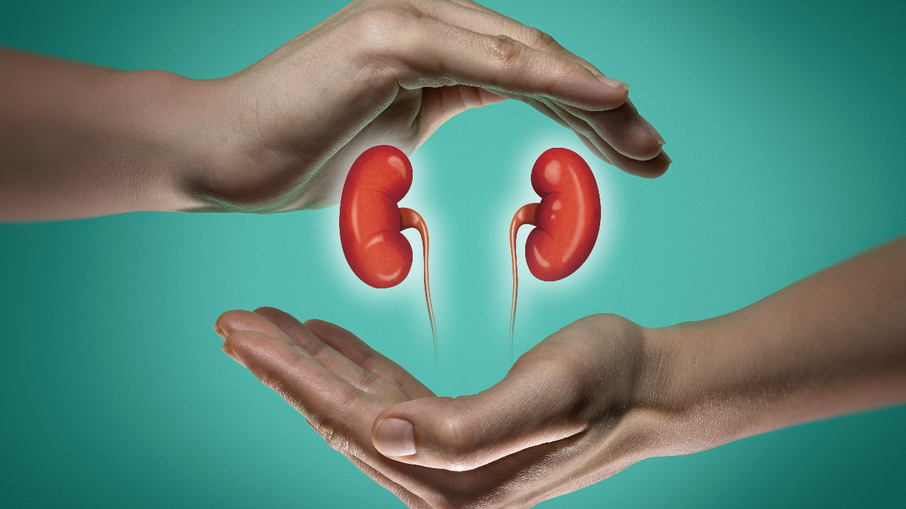 ดูแลไตอย่างไร...ให้อยู่กับเราไปนานๆ