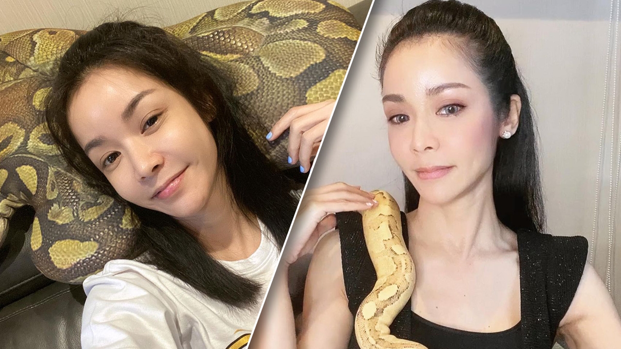 นุ๊ก สุทธิดา อยู่บ้านคนเดียวในรอบ 18 ปี แต่ชาวเน็ตตกใจสิ่งที่หนุนอยู่