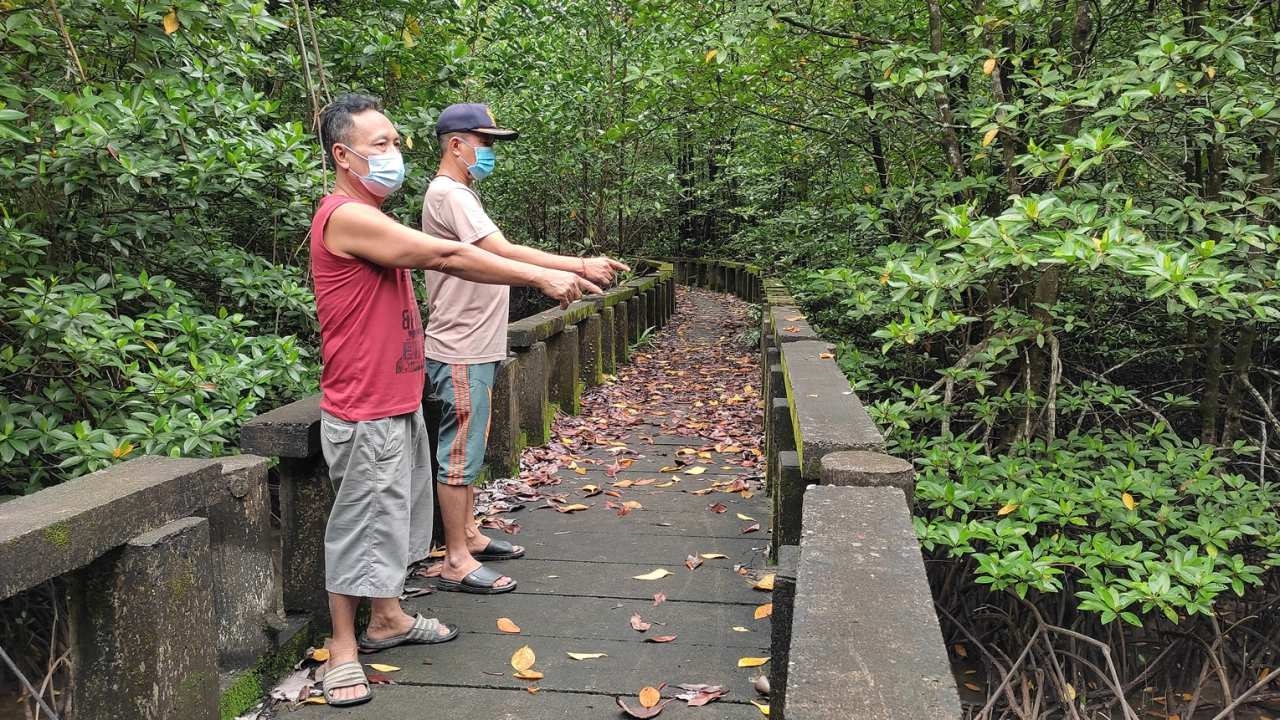 เกาะช้างเตรียมปิดสะพานริมป่าชายเลน เหตุสภาพอันตราย หลังคลิปเสียวโผล่