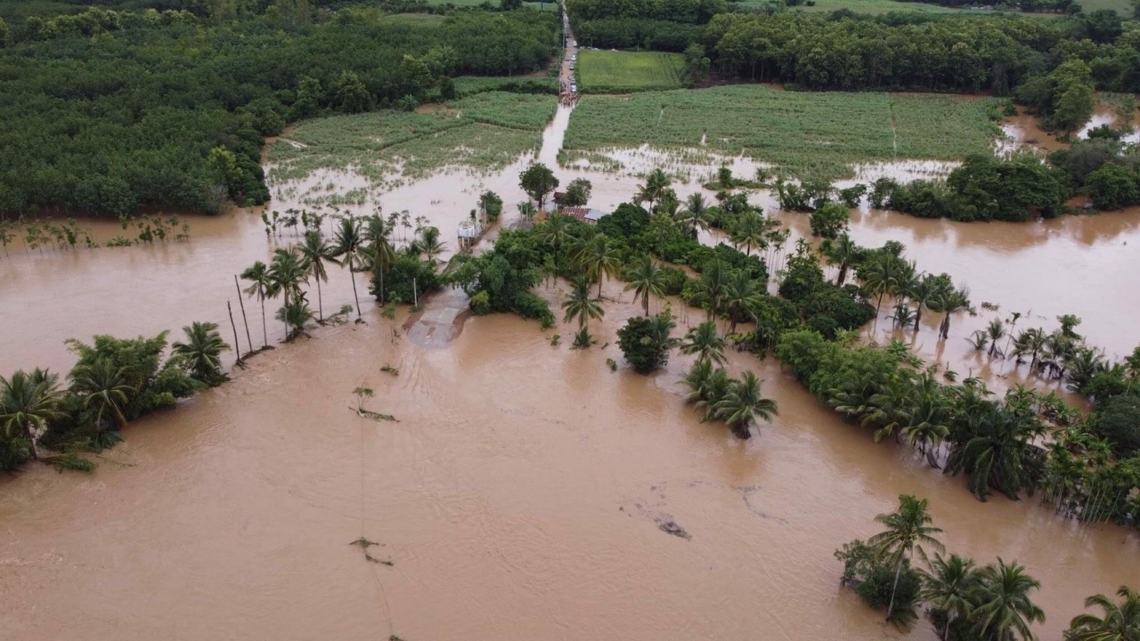 กรมข้าว กำชับเจ้าหน้าที่ศูนย์เมล็ดข้าว ศูนย์วิจัยจับตาฝนตกหนักใกล้ชิด