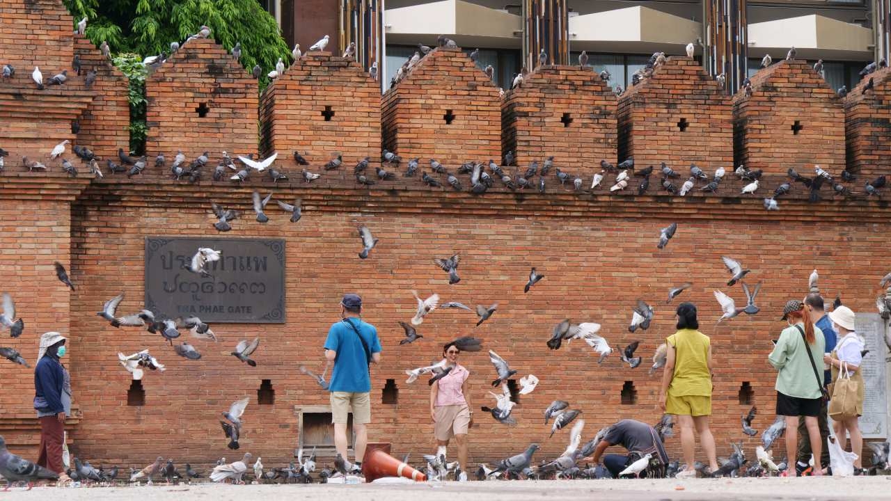 เชียงใหม่คึกคัก คนแห่เที่ยวรับหยุดยาว ขณะที่ยังใส่หน้ากากเที่ยวกันอยู่