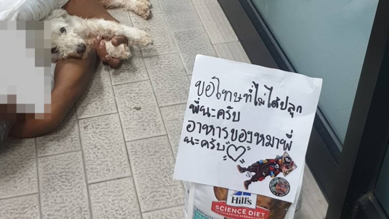 ชื่นชม ชายนำอาหารสุนัขให้คนเร่ร่อนนอนกอดเจ้าตูบ พร้อมข้อความอบอุ่นใจ