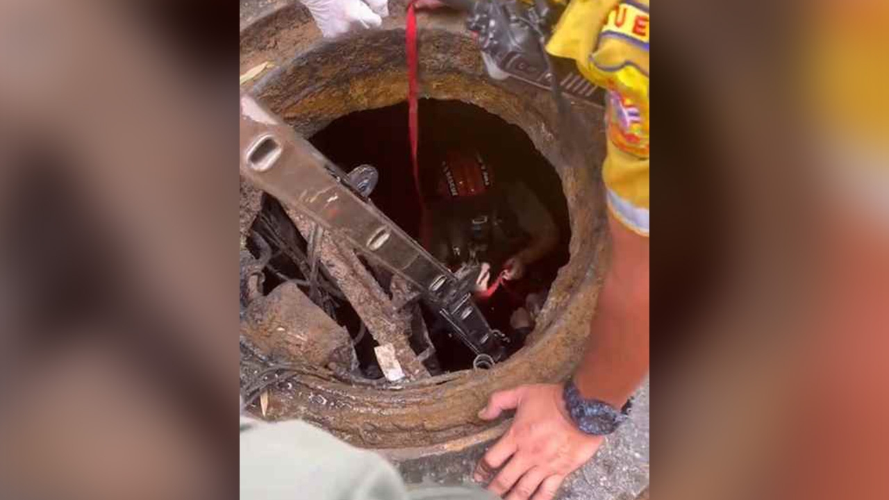 ด่วน กู้ภัยเร่งช่วยชาย 4 คน พลัดตกท่อระบายน้ำ หน้าคอนโด ย่านบางนา