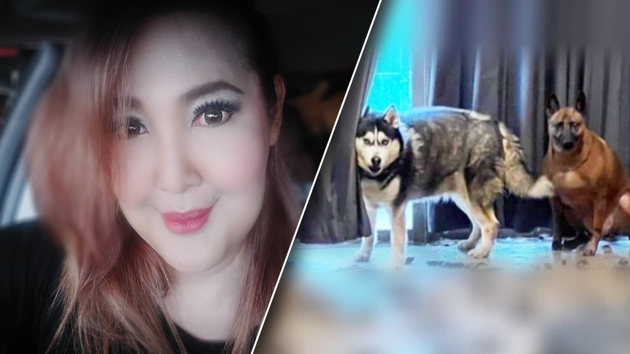 เก๋ ชลลดา รับดูแล 2 น้องหมาของ ซันนี่ ยูโฟร์ บอกเป็นสิ่งที่ทำให้ได้ (คลิป)