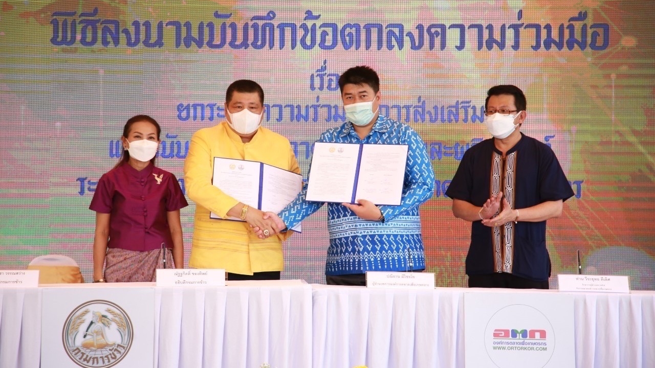 กรมข้าว จัดงานจับคู่ธุรกิจขายข้าว ผู้ผลิตพบเกษตรกร เพิ่มรายได้ชาวนา