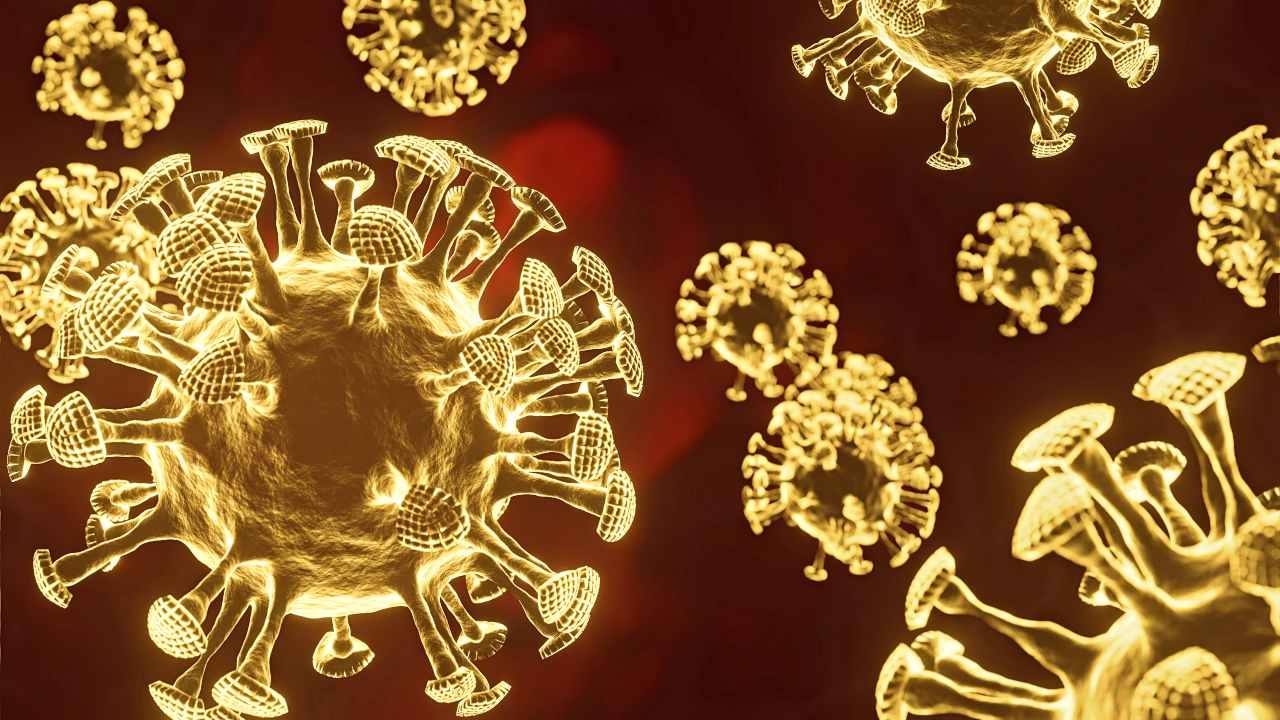 ดับ 30 ศพ โควิดวันนี้ 24 ก.ค. ติดเชื้อใหม่ 2.3 พันราย ปอดอักเสบ 874 ราย