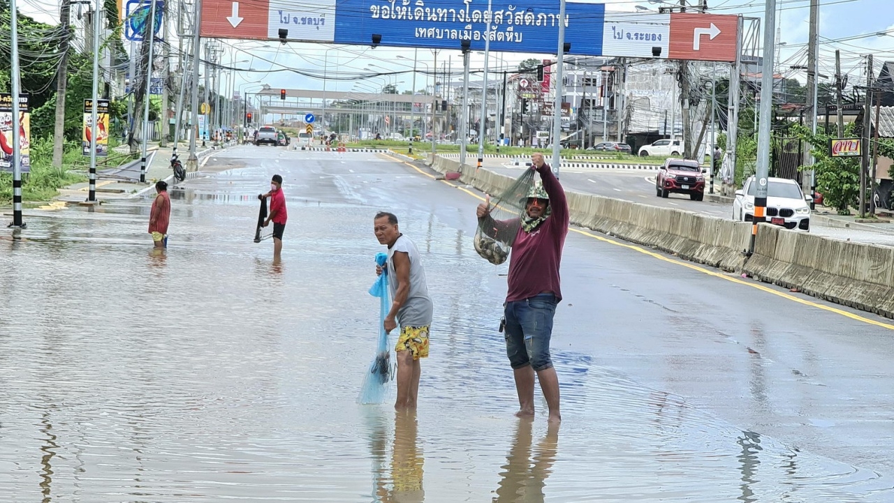 ผลดีน้ำท่วม คนสัตหีบแห่ทอดแหบนถนนสุขุมวิท ได้ปลาเพียบ