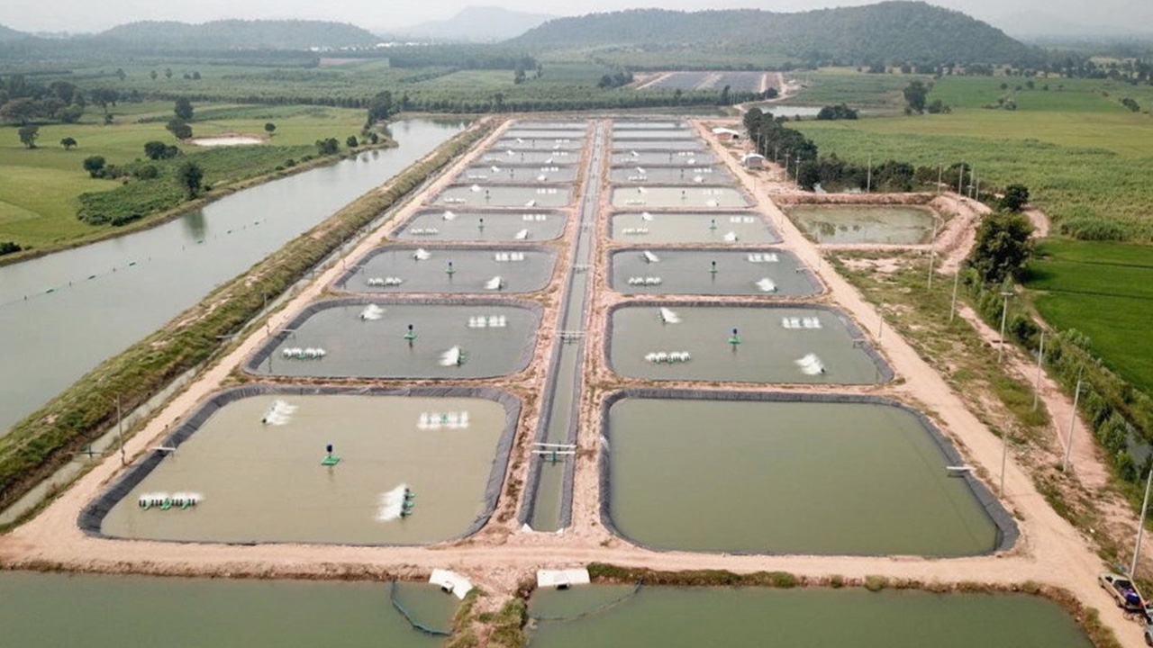 ต้นแบบเลี้ยงปลาระบบ CARE