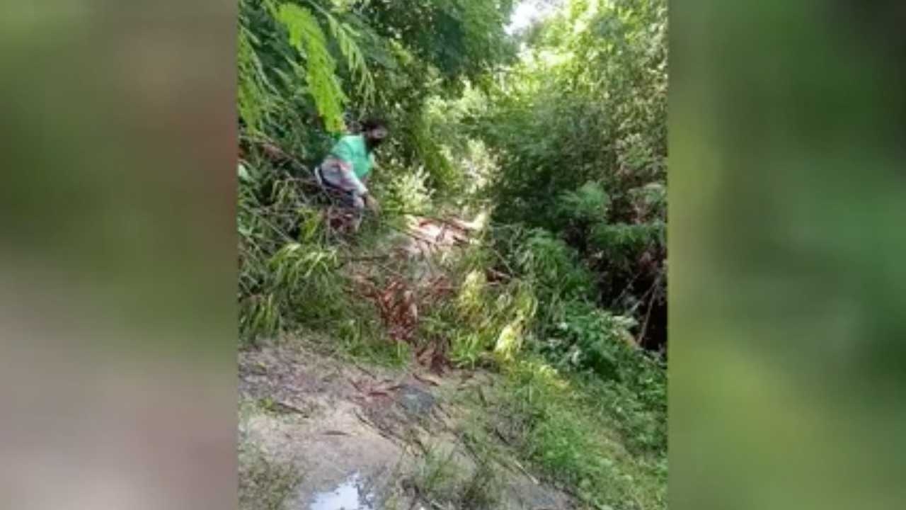 ชีวิตสู้กลับ ไรเดอร์เจอทางเข้าบ้านลูกค้าสุดรก ต้นไม้ล้มขวางถนน ไม่ท้อผ่านไปจนได้