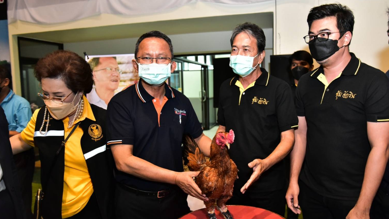 "สมศักดิ์" ควง 2 ส.ส.ราชบุรี เปิดงานส่งเสริมอาชีพ หนุนเลี้ยงไก่ชน-วัวลาน