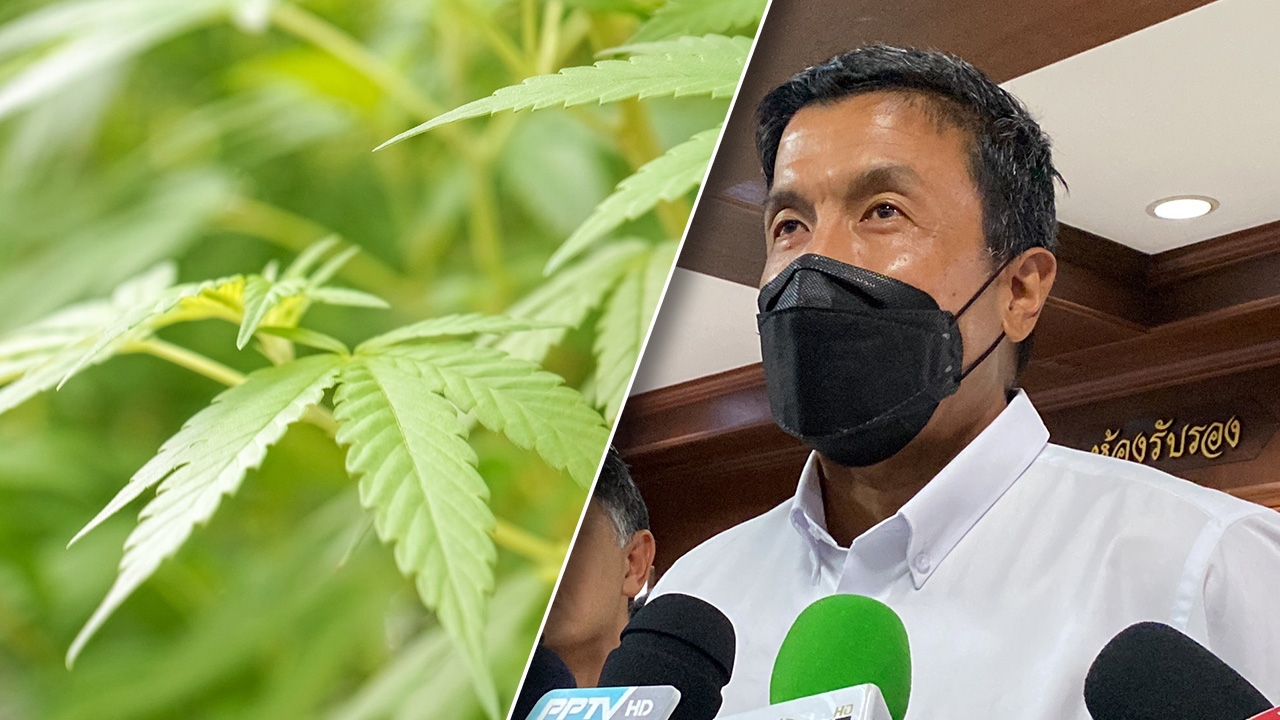 "ชัชชาติ" ลงนาม ให้โรงเรียน กทม.437 แห่ง เป็นพื้นที่ปลอด "กัญชา-กัญชง"