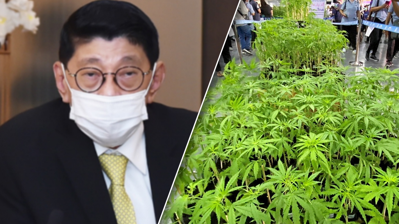 “วิษณุ” ยัน เป็นเรื่องดี และถูกต้อง ห้าม “กัญชา” เข้าโรงเรียน