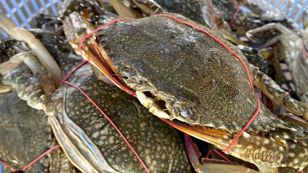 ซุปเปอร์มาร์เกตท้องถิ่น ริมฝั่งอ่าวคุ้งกระเบน