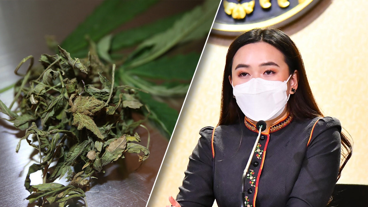 รัฐบาลเตือนไม่แน่ใจไม่ควรนำกัญชาพกไป ตปท. ชี้หลายประเทศยังผิดกฎหมาย