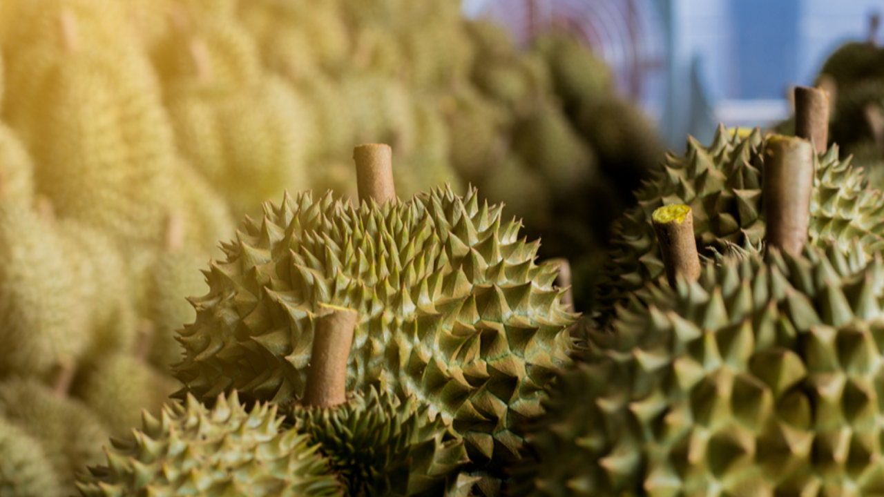 "บิ๊กตู่" ยินดี ส่งออกทุเรียนไทยไปจีน ทะลุเกินเป้า 5 แสนตัน ยืนยันคุณภาพ