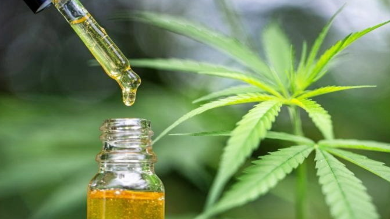 คนไทย เดินทางไปนอก ตรวจสอบข้อกำหนด "กัญชา" เหตุ หลายประเทศยังผิดกฎหมาย