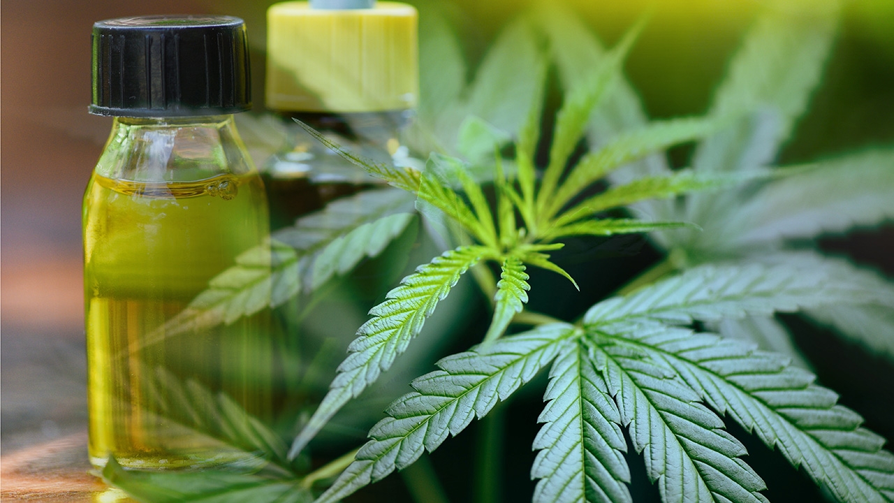 พระฉันกัญชา อาบัติหรือไม่?