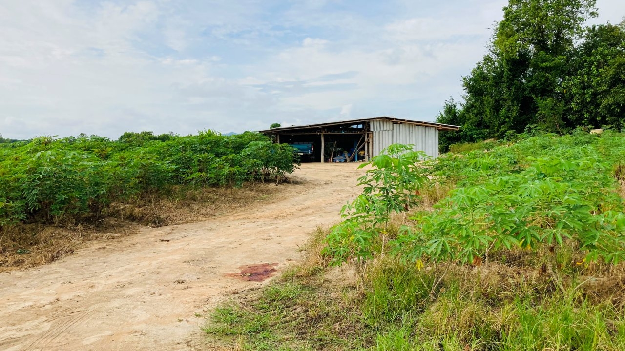 คืบหน้ายิงเฒ่าม้งคลองลาน ตร.มุ่งปมขัดแย้งที่ดิน กำลังเร่งสืบสวนหาคนร้าย