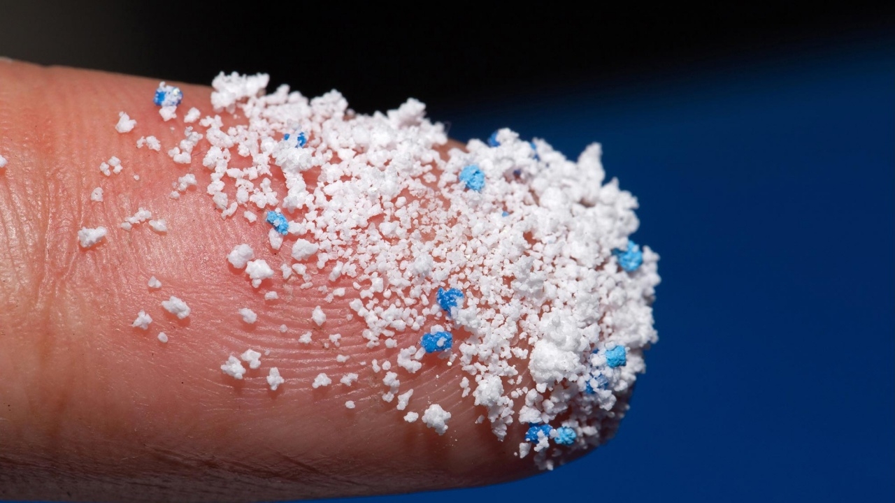 เนเธอร์แลนด์พบไมโครพลาสติกในเนื้อวัว-เนื้อหมู