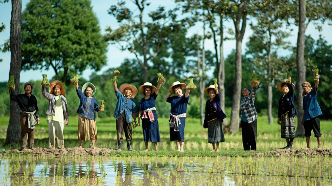 SROI...เครื่องมือวัดผลตอบแทนทางสังคม “สู่ความมั่นคงอย่างยั่งยืน”