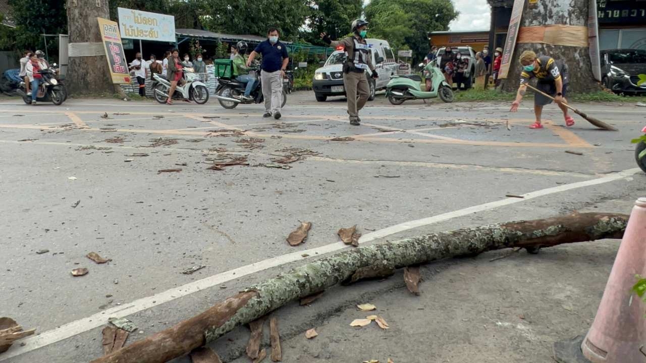 กิ่งไม้ยางยักษ์ถนนเชียงใหม่-ลำพูน หักทับ จยย.3 แม่ลูกที่สารภี ยายสลบคาที่