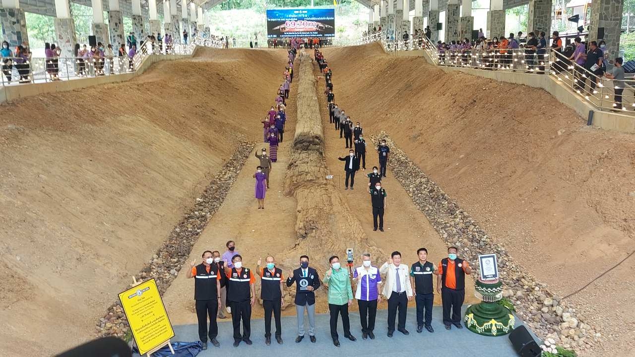 กินเนสส์ฯ ยกไทยเจ้าของสถิติ ไม้กลายเป็นหินที่ยาวที่สุดในโลก แบบเป็นทางการ