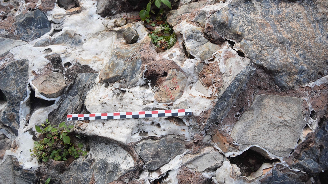 บรรพบุรุษของมนุษย์ยุคแรกเก่าแก่กว่าที่คิดไว้