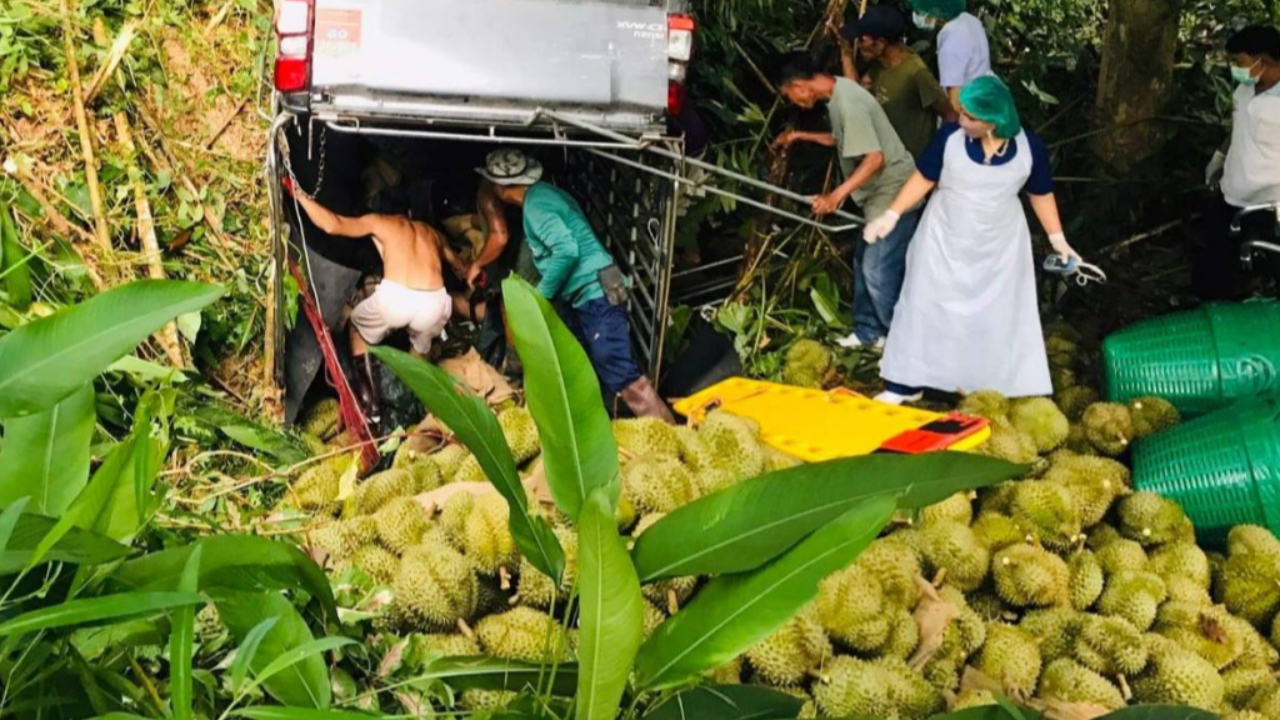 รถทุเรียนคว่ำ หมอนทอง 3 ตัน ทับคนนั่งท้ายตาย 2 บาดเจ็บสาหัส 5 