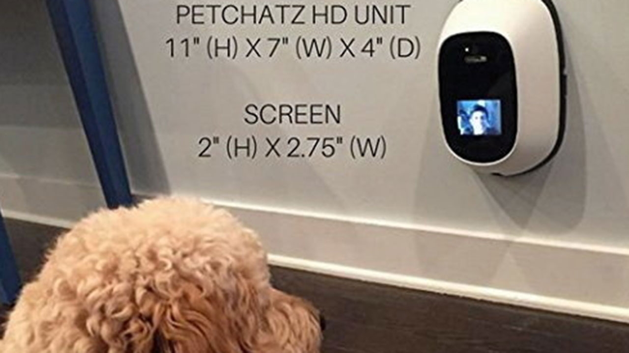 เอาใจคนรักสัตว์ PetChatz เปิดตัวกล้องสำหรับสัตว์เลี้ยง ตอบโต้ได้บันทึกวีดีโอได้