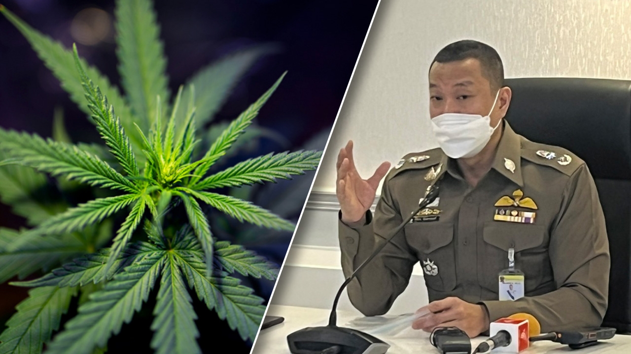 บช.น.เข้มมาตรการควบคุมกัญชา เร่งเก็บข้อมูลผู้ค้าทุกพื้นที่ ยันไม่ได้ปิดกั้น