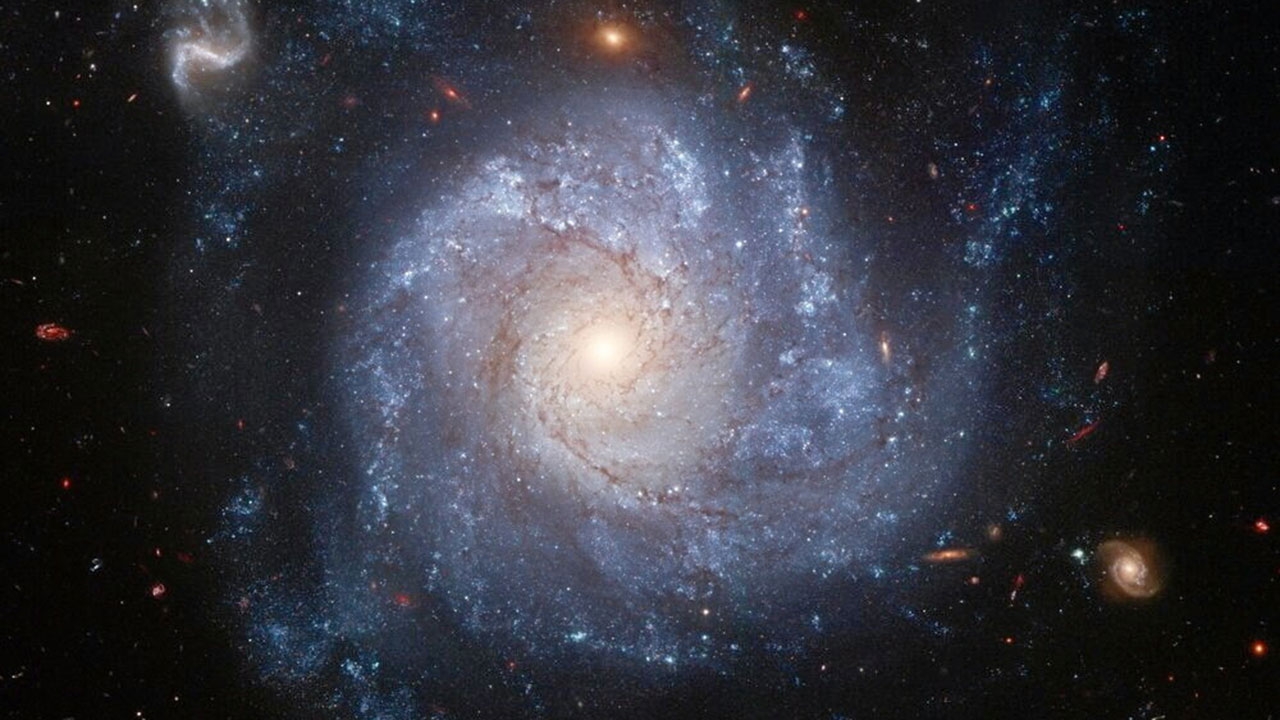 ดวงดาวที่รอดชีวิตจากซุปเปอร์โนวา