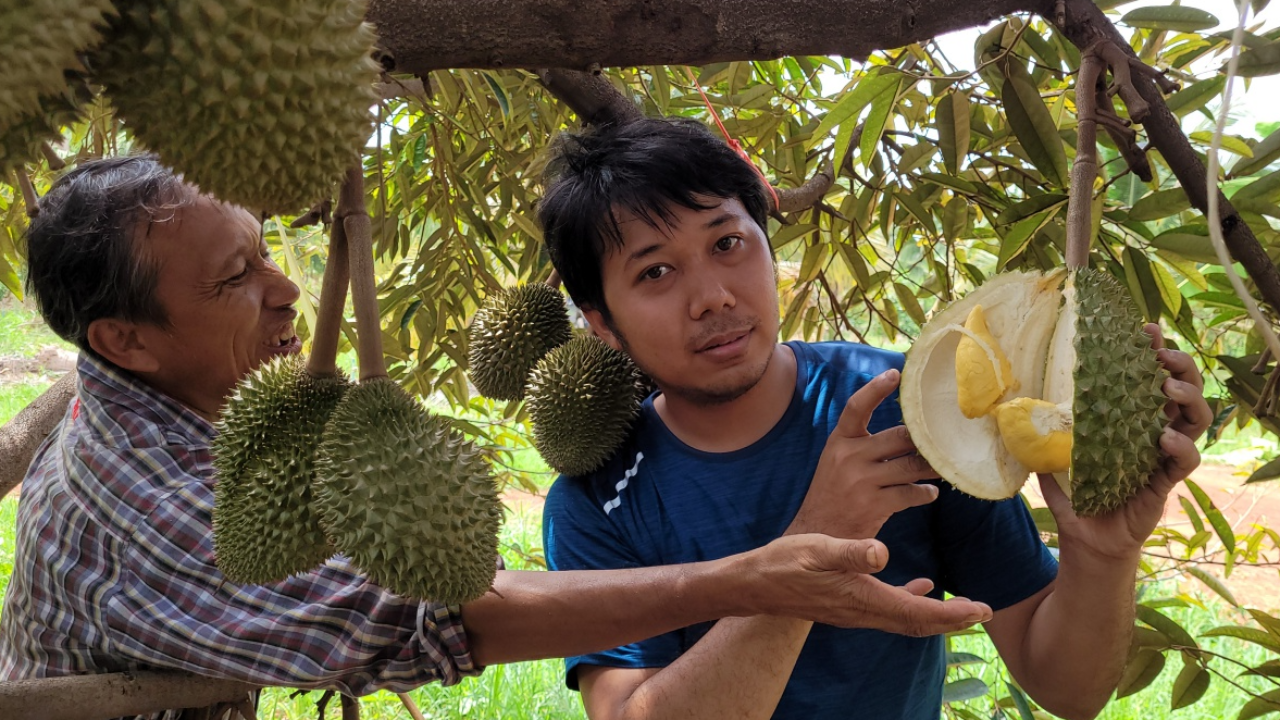 คุณยายเซียนทุเรียน ซื้อที่ทำสวนอยู่ อ.วังทอง ใช้ร่มมะพร้าวช่วยบังแดด  