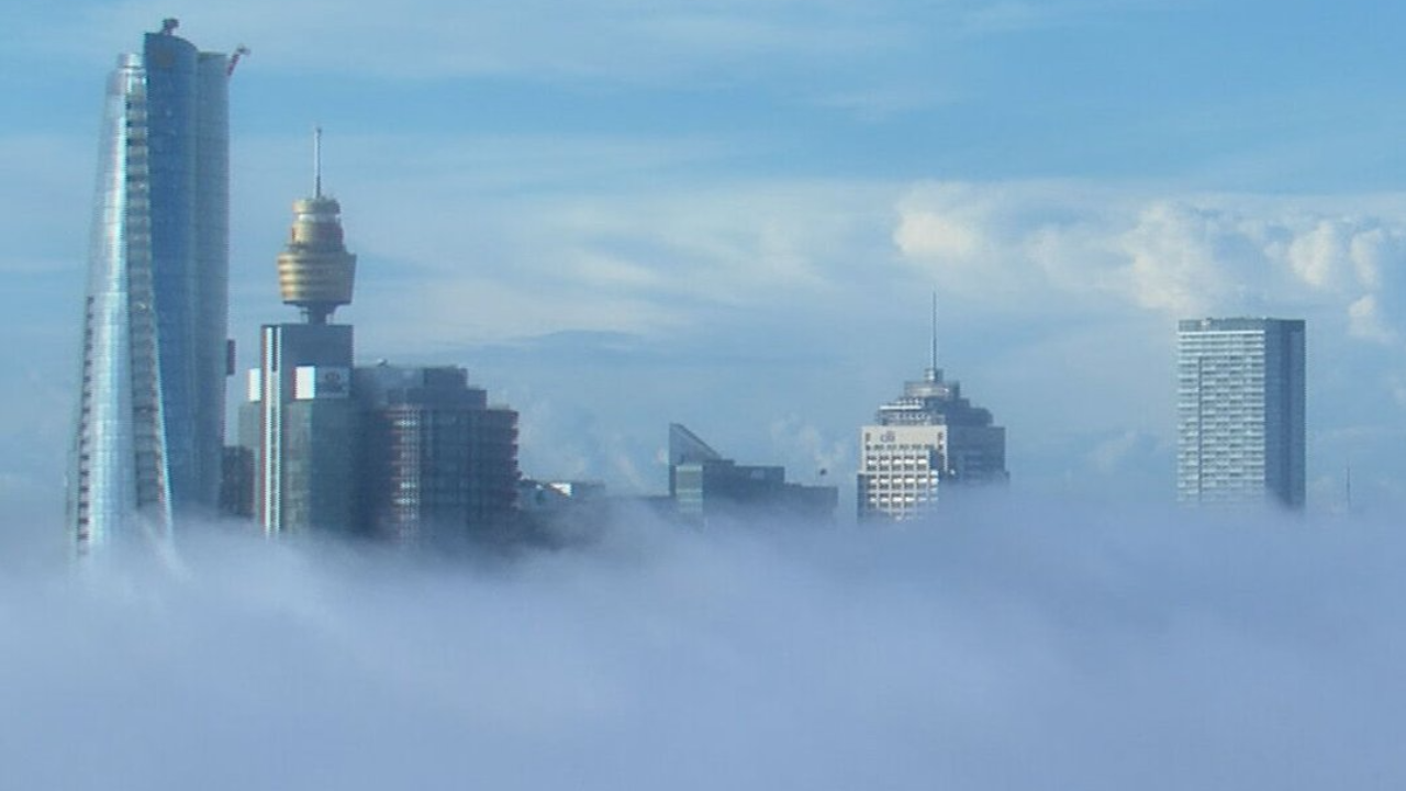 เมืองซิดนีย์ กลายเป็นเมืองในหมอก หลังมีหมอกหนายามเช้าปกคลุมทั้งเมือง