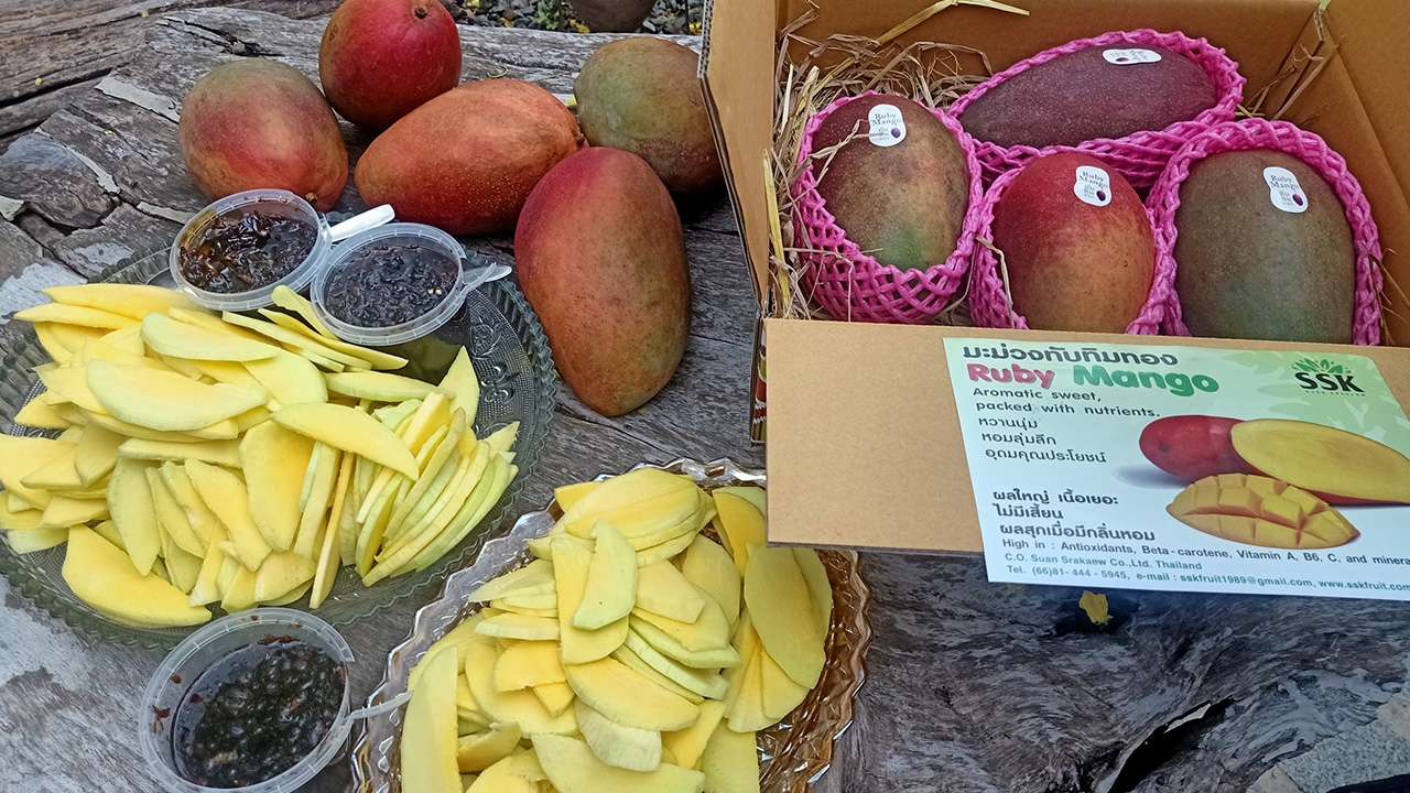 ศูนย์เรียนรู้มะม่วงทับทิมทอง