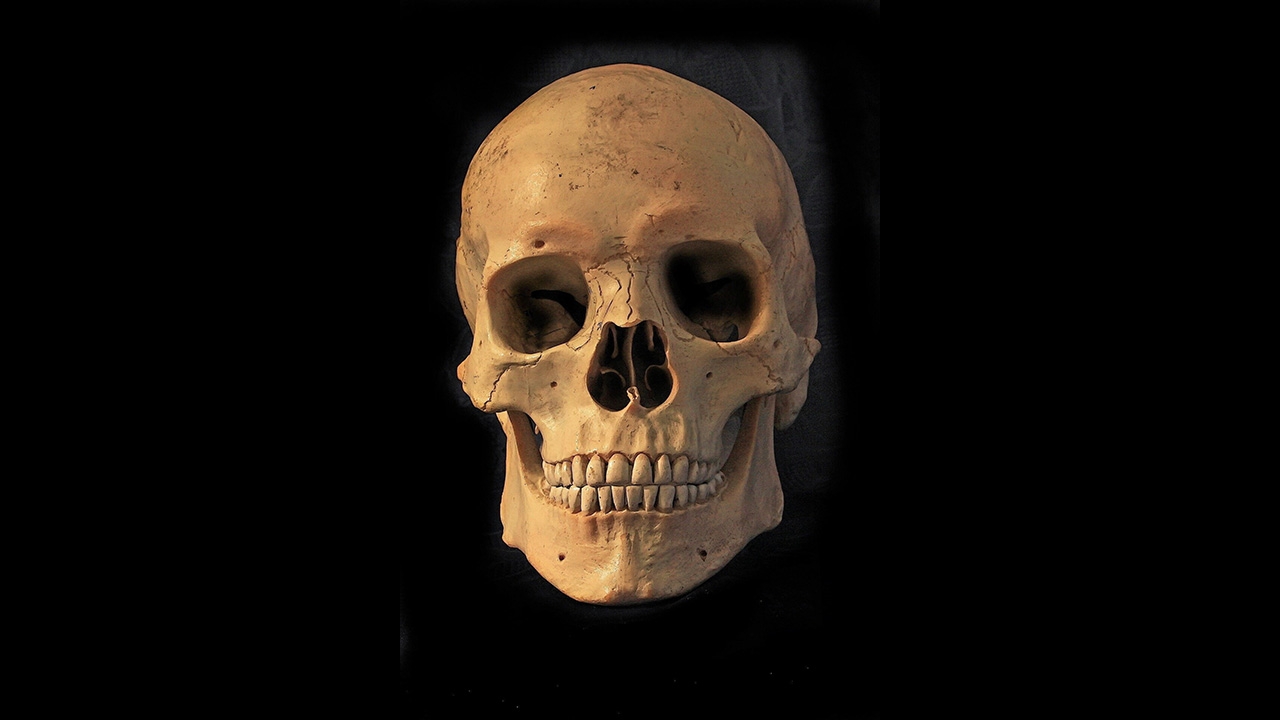 พบกะโหลกอายุเกือบ 8,000 ปี ในมินเนโซตา