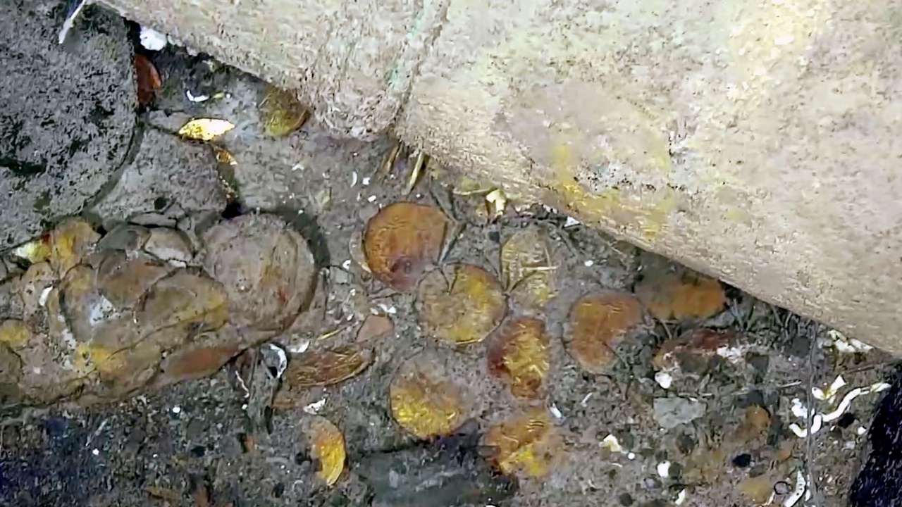 โคลอมเบียพบสมบัติในซากเรืออับปางอายุเก่าแก่กว่า 300 ปี