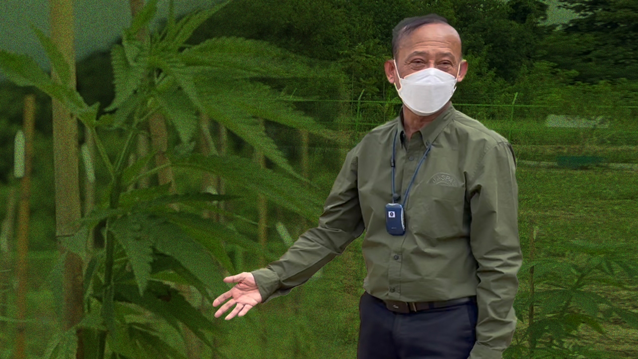 แห่เรียน กัญชาศาสตร์ เป็นผู้เชี่ยวชาญ ระดับดุษฎีบัณฑิต