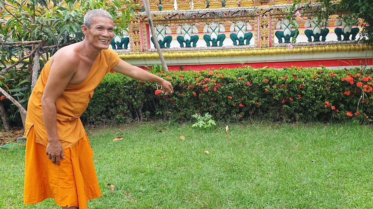 เด็กถูกต่อหัวเสือรุมต่อยในวัด ยังแพ้พิษมีไข้ เจ้าอาวาสให้รื้อรังแล้ว