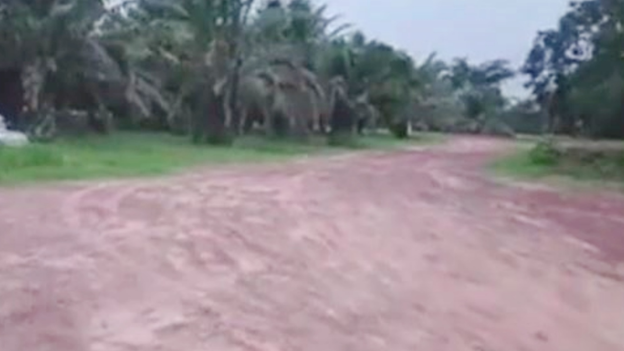 หนุ่มเข้าสวนปาล์ม-หายตัวลึกลับ พ่อเชื่อผีเอาไปซ่อน เล่าสาเหตุสุดขนลุก