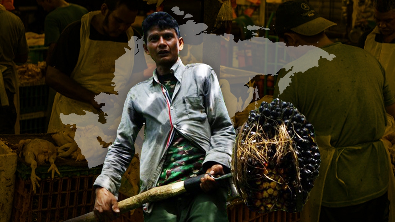 วิกฤติขาดแคลนอาหาร หลายประเทศระงับส่งออกสินค้าเกษตร ส่งผลกระทบทั่วเอเชีย