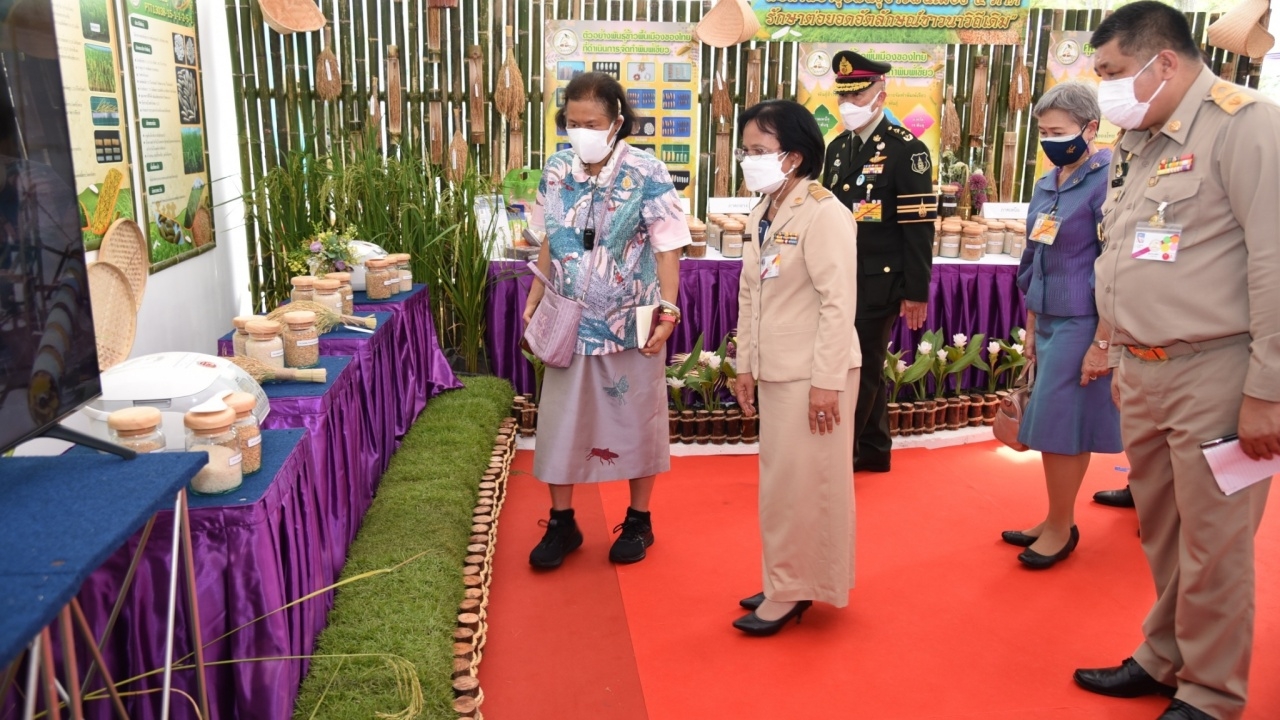 กรมสมเด็จพระเทพฯ ทรงเปิดงานวันข้าวและชาวนาแห่งชาติ ที่ทุ่งมะขามหย่อง