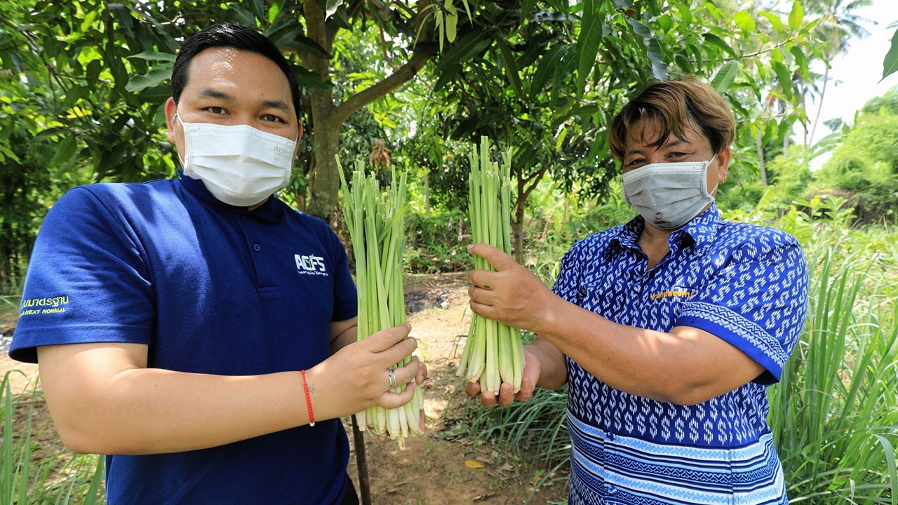 มกอช.หนุนเมืองสมุนไพรชัยนาท ยกระดับการผลิตมาตรฐานสินค้าเกษตร