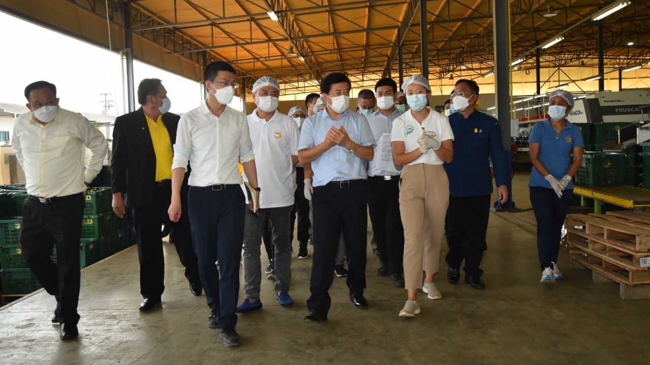 สหกรณ์เขาคิชฌกูฏ เปิดบ้านรับทูตจีน เยี่ยมชมสวนทุเรียน ก่อนส่งตลาดจีน