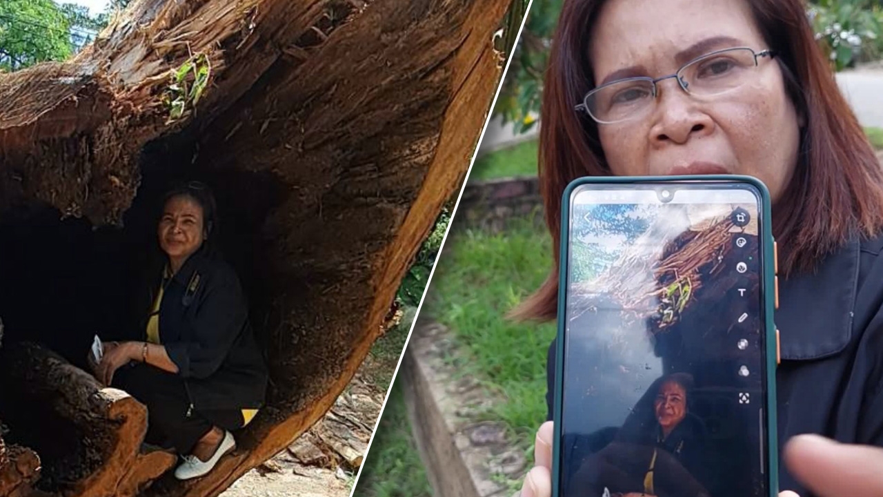 ขนลุก ภาพหลอนในโพรงตะเคียน ใบหน้าจากสาวกลายเป็นแก่หง่อม