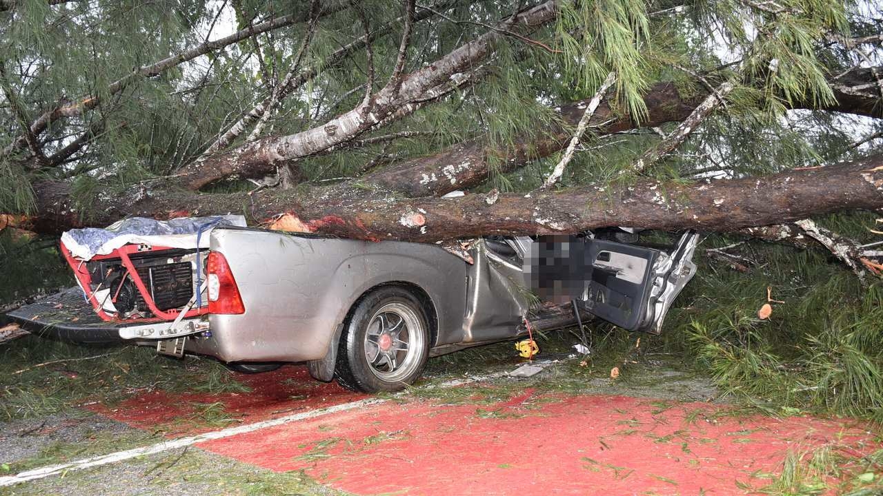 ผัวเมียขับรถฝ่าฝนจะไปออกรถใหม่ เจอต้นสนอายุกว่าร้อยปีโค่นทับตาย 1 เจ็บ 1