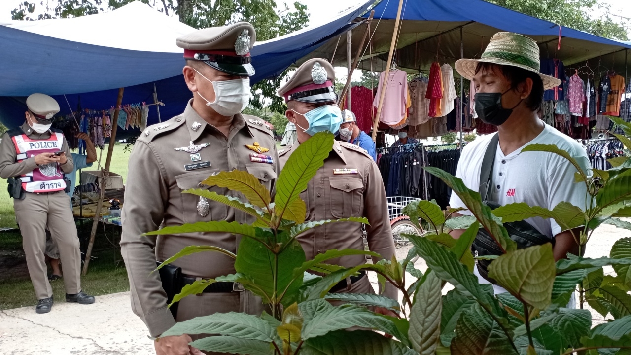 ตำรวจลุยตรวจ ตลาดนัดอำเภอไพรบึง ไม่พบคนขายกัญชาให้นักเรียน เจอแต่กระท่อม