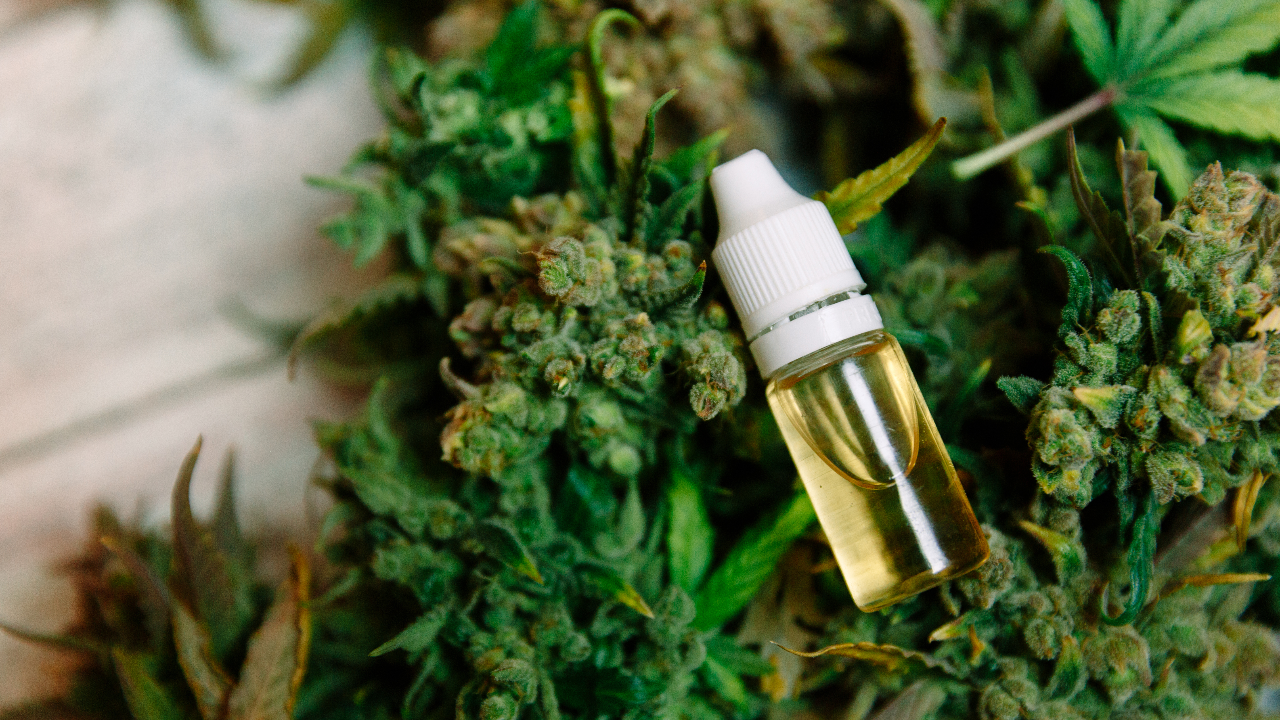 เพิ่ม “ยาน้ำมันกัญชา” ในบัญชียาหลักแห่งชาติด้านสมุนไพร มีผล 29 ก.ย. 65