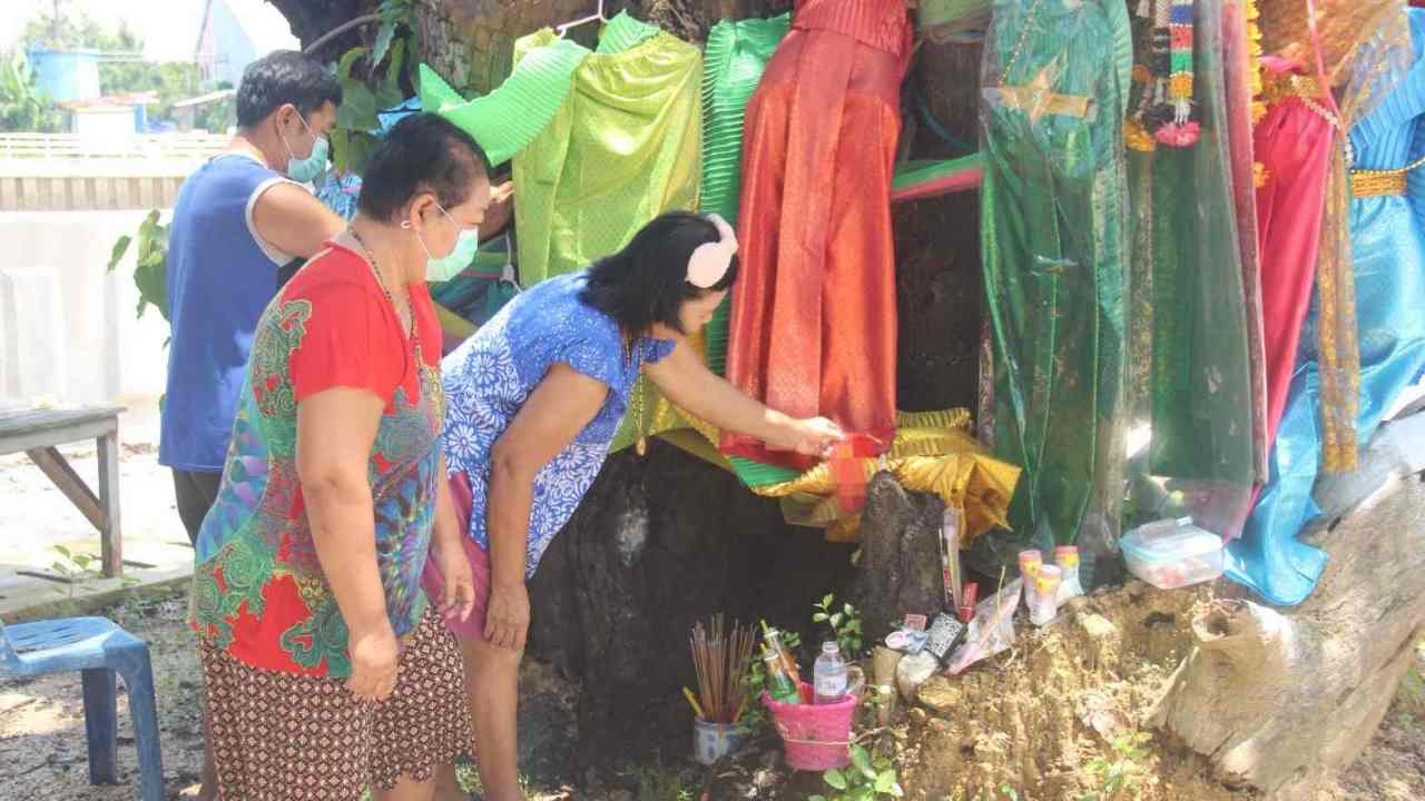 ลูบแป้งโคนต้นตะเคียน หลังวัดดัง ได้ "เลขเด็ด" ลุ้นรวย ให้โชคถูกมา 5 งวดติด