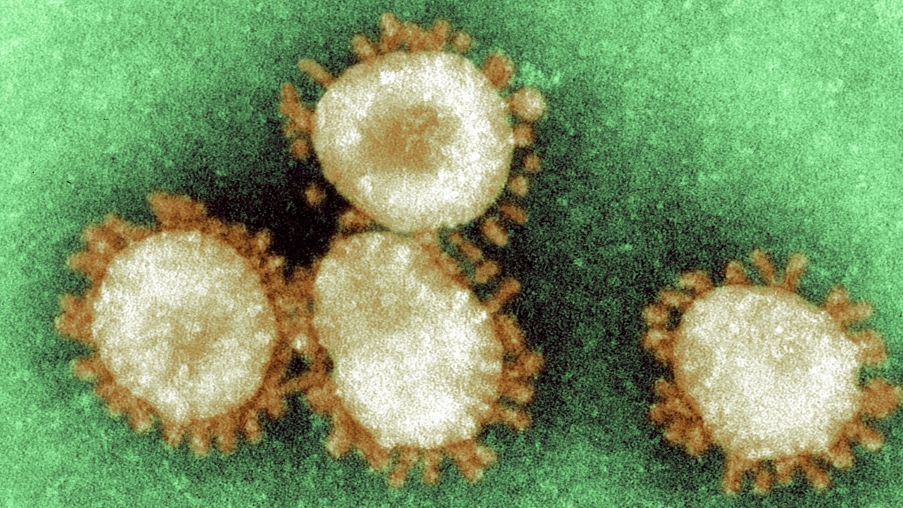 จับตา โอมิครอนน้องใหม่ ‘เจน 3’ BA.2.75.2 ระบาดเร็วในอินเดีย มาถึงไทยแล้ว